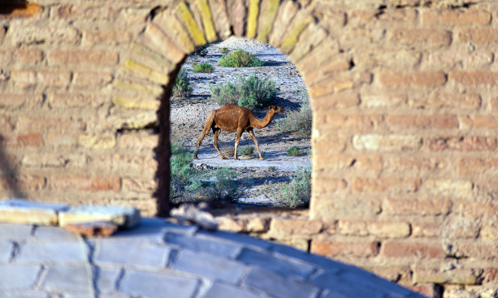 Nam placerat mi non velit interdum luctus.