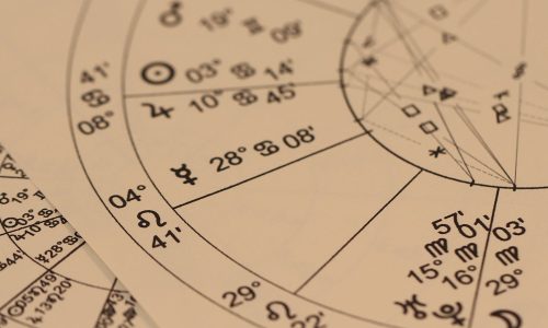 Curabitur non enim auctor, blandit dui in, lacinia elit.