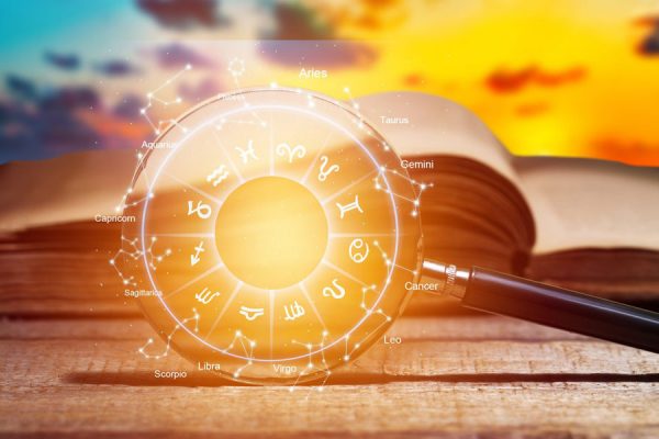 Phasellus sed dolor nec erat consequat porta eu et orci.