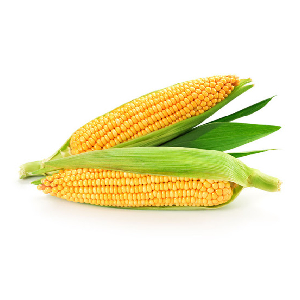 Sweet Corn, 1pc