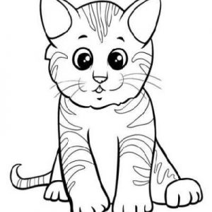 Cat Drawing