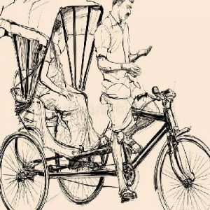 Animal-powered vehicles